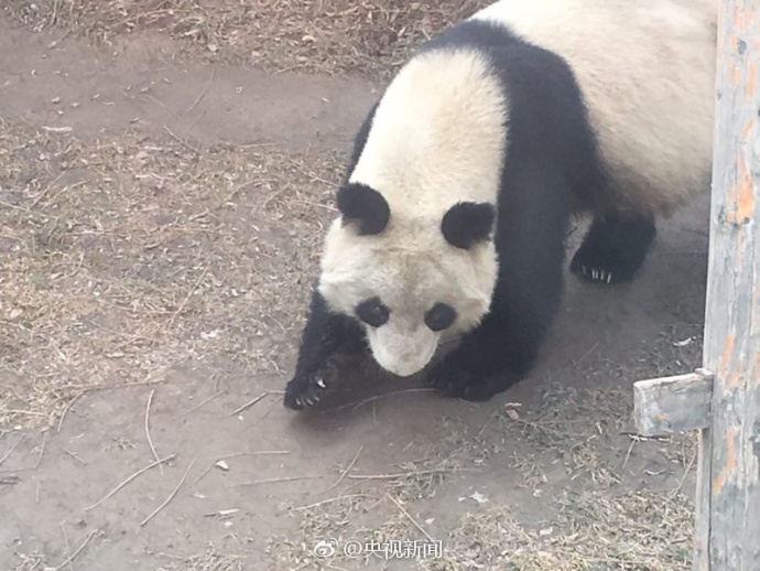 波多野结衣被部长侵犯的人物评价