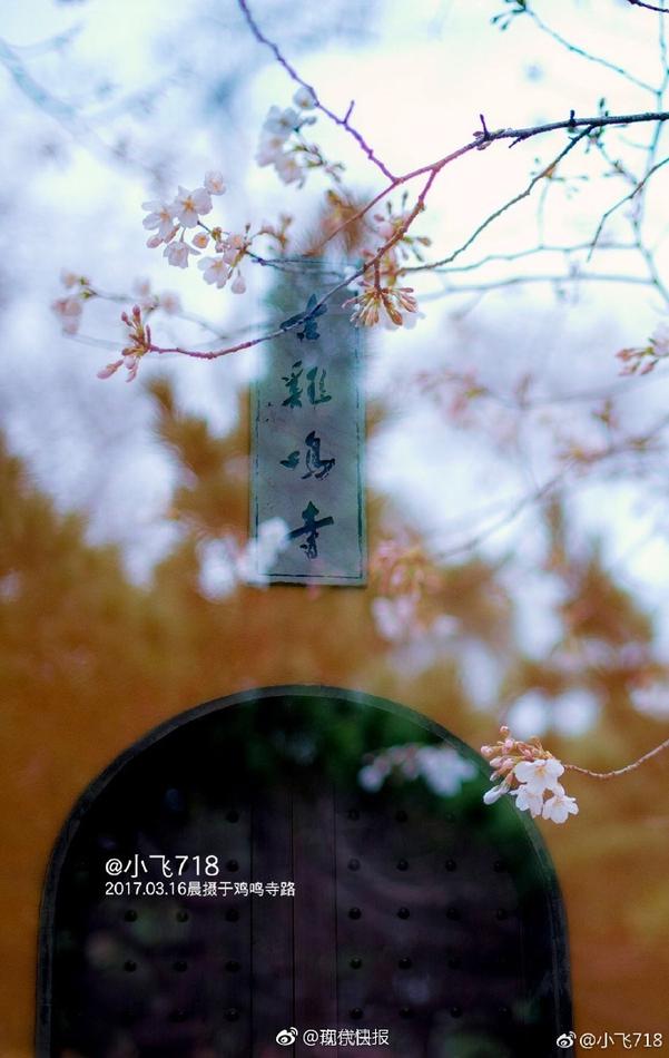 越南按摩