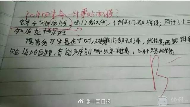 自拍偷拍网