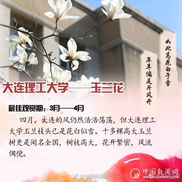 片山明美