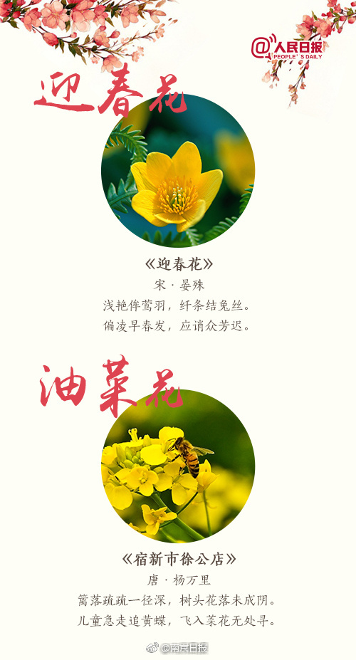 电车之狼游戏
