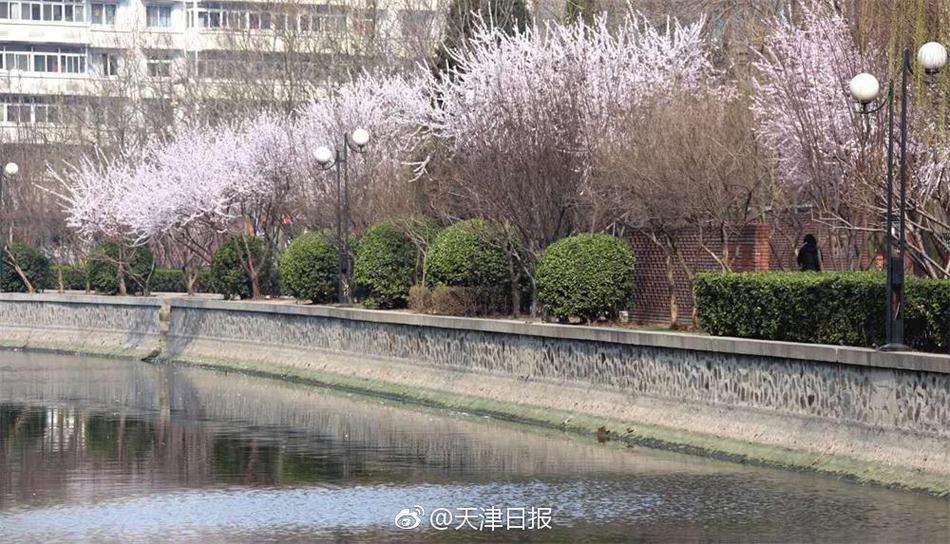 波多野结衣无码精品视频