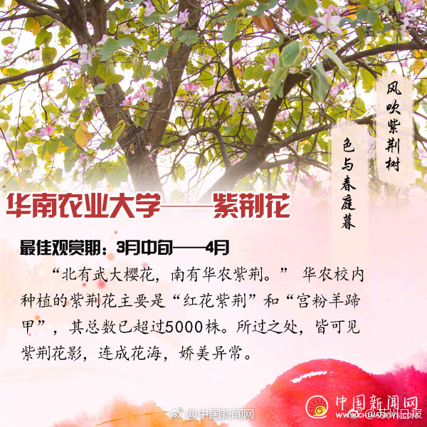 老师喂我乳还脱了小内内