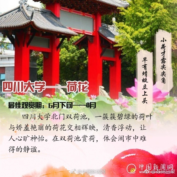 似鳥沙也加