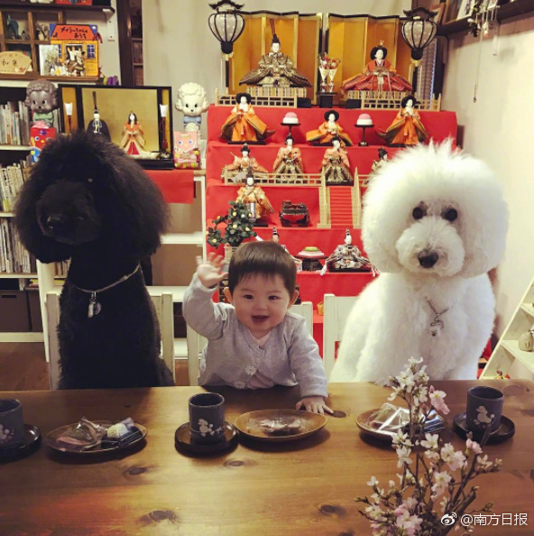 久久机热