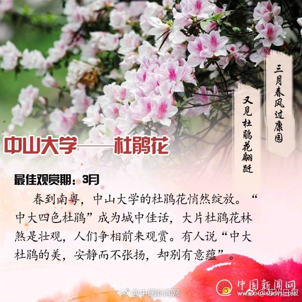 人妻含泪被黑人进入