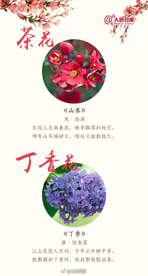 黄色 电影 免费 看
