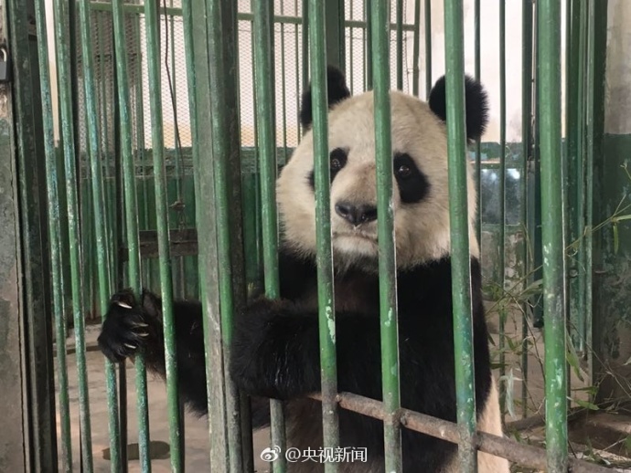 91麻豆精品国产