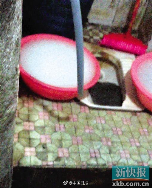 清涼寫真