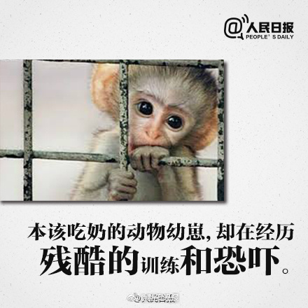 唯美性爱