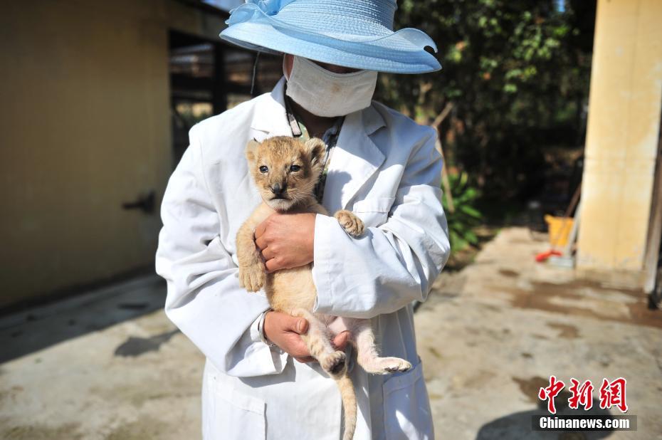寡妇被猛烈进入30分钟