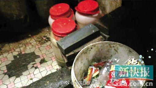 红楼直播