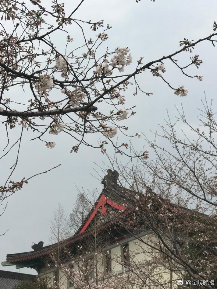 天天久久
