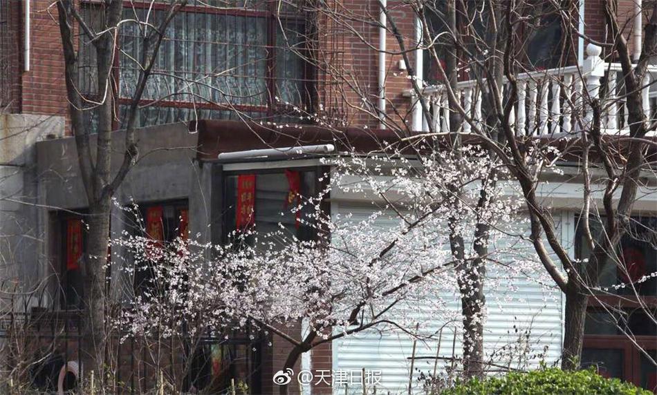 黄色夫妻在线交换观看比赛