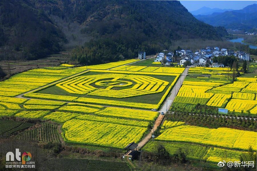 脱 让摸 日本