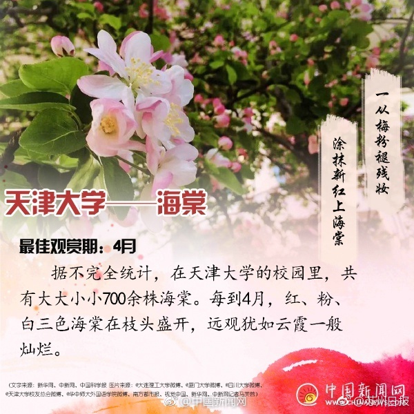 成熟妇女色惰片免费看