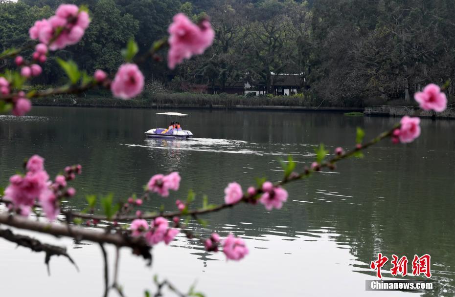 张柏芝陰唇毛很长