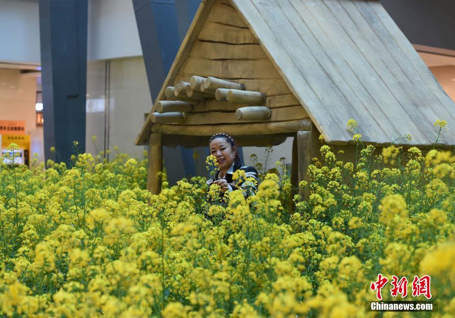 炕头淑芬撅起大白屁股