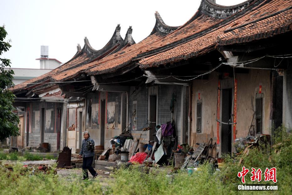 Av在线直播放器可以看
