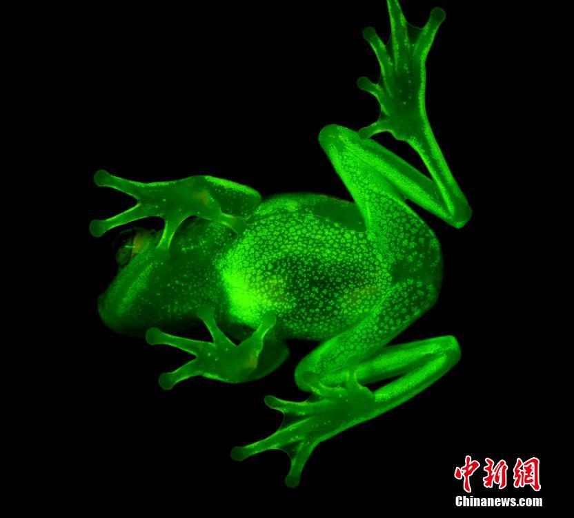欧美激情影院