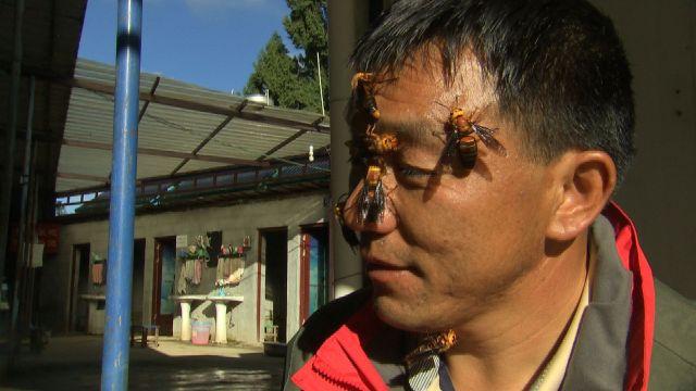 台湾一级毛片高清在线高清