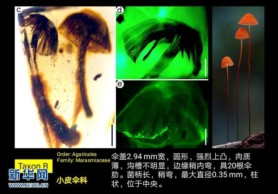 现场 性爱 视频