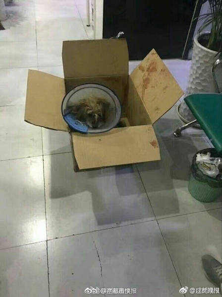 黄色三级三级中国