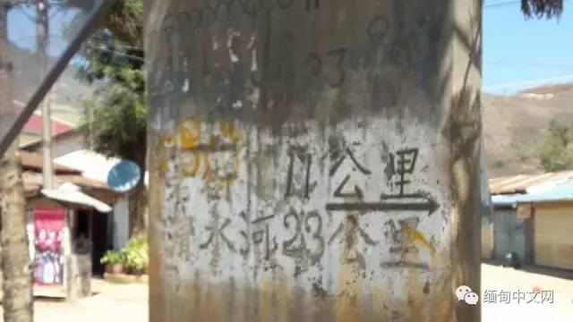 丰满多毛的大隂唇特写