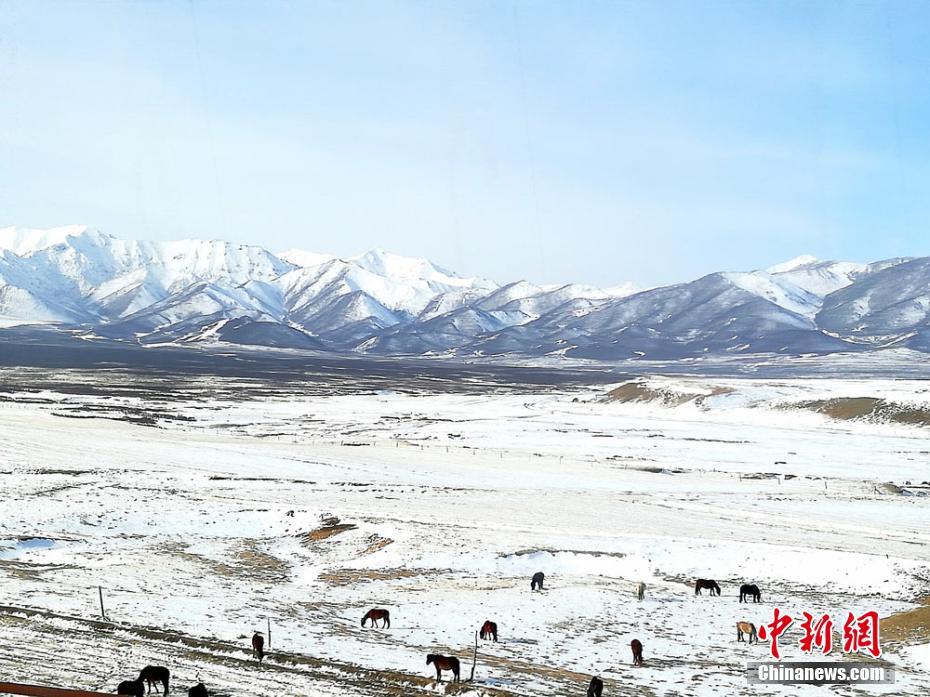 无码Av久久久久久久久品牌背景