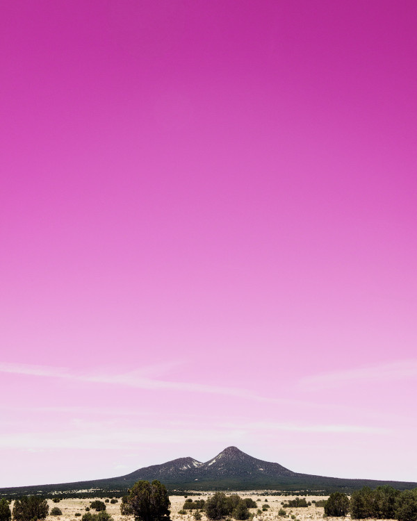 姊汁