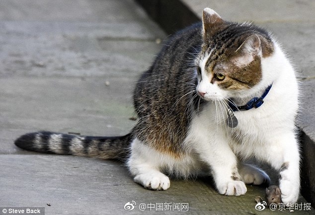 非洲淫荡老太