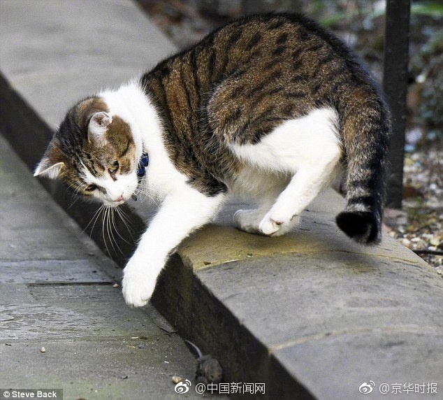 久久精品6