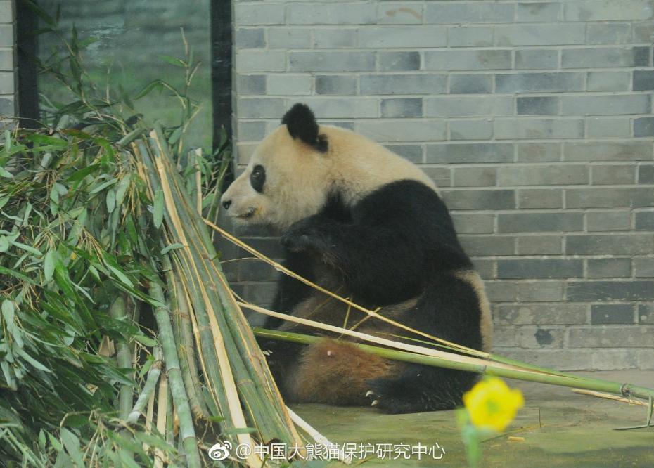 欧美人X马X兽Xxxx