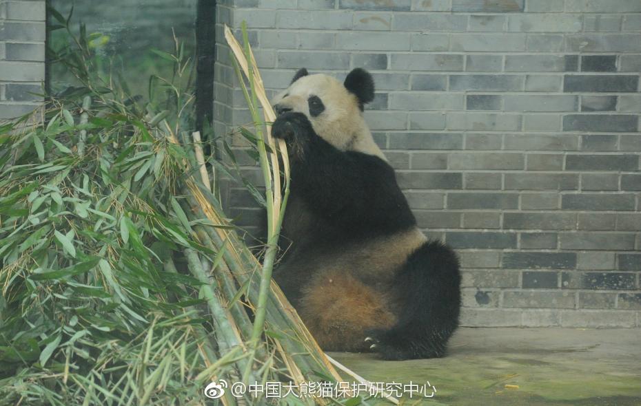 明星 裸体 视频