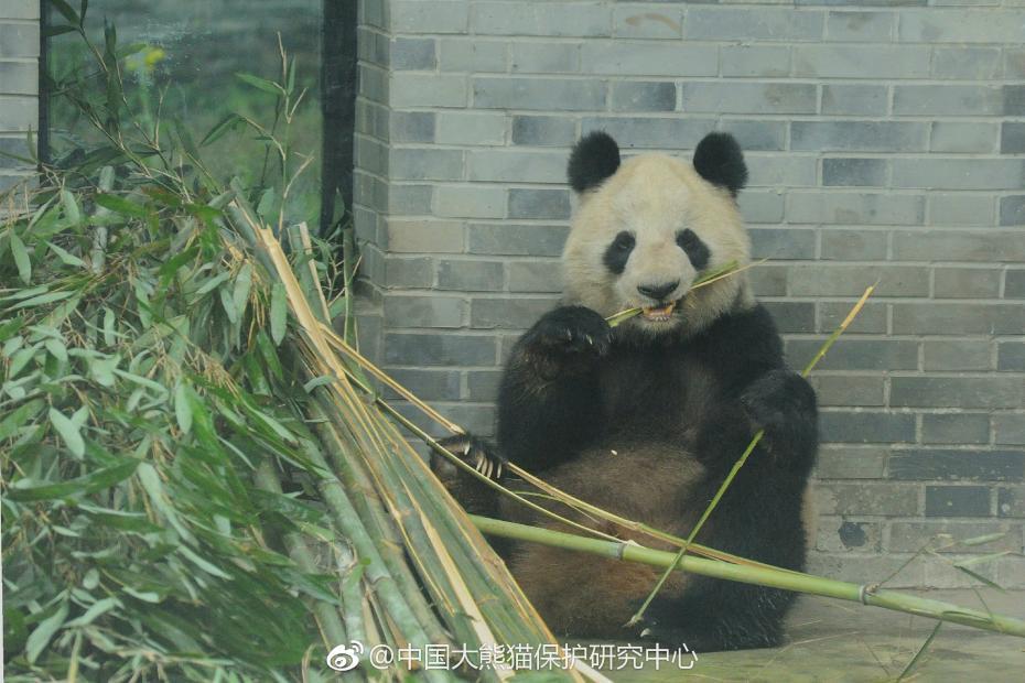 欧美成人福利激情视频一区二区三区