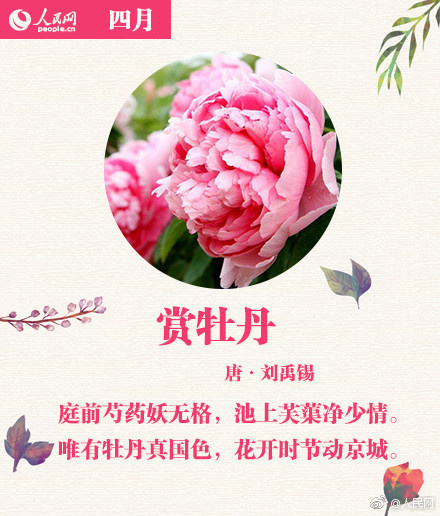 台灣自拍