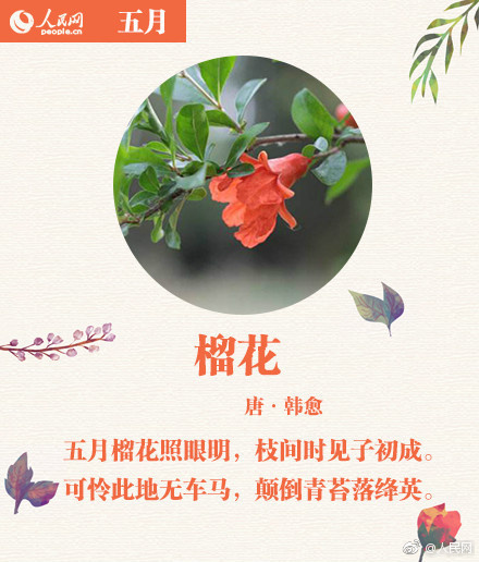 黑人欧美多人交换做爰金平梅