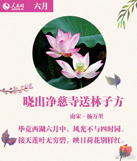 Free Videos Hd国产