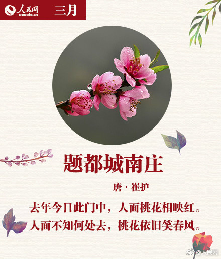 一级特黄AAAA片