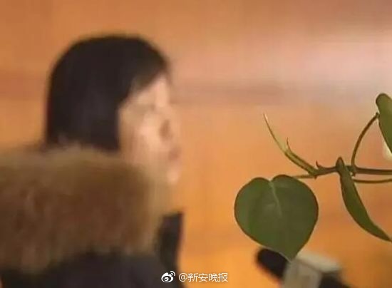 无码不卡黄网站