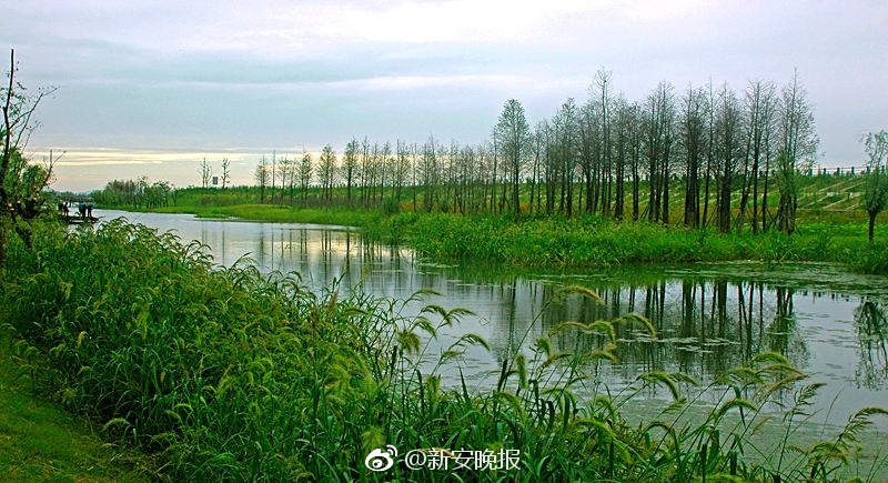 高龄老头Gay互摸