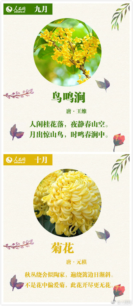 www.huangse