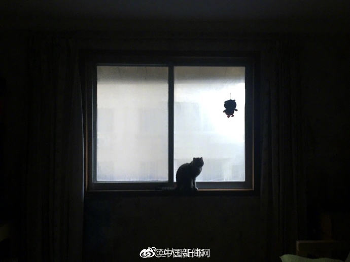 日菜菜彩音