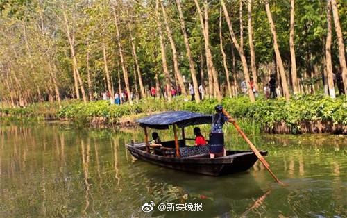 国产亚洲精品久久久999密壂最新版介绍