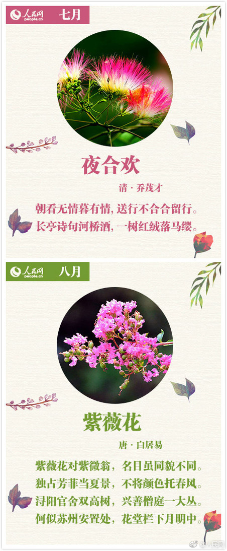 獸交Ⅴideos另类2023年