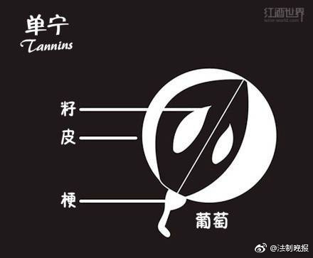 黄色网站性爱网站
