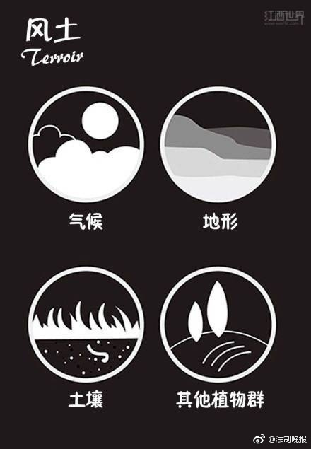 国产精品   在线观看