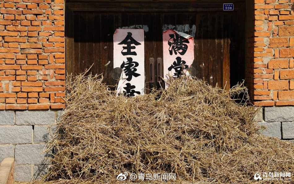 精品亚洲一区二区三区四区五区高