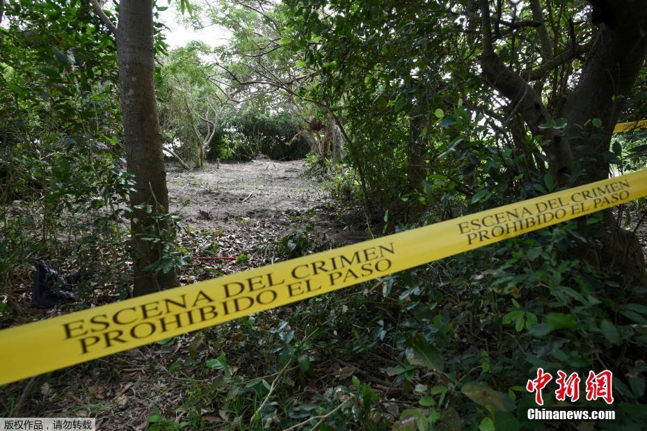 秋霞理论