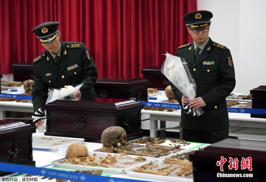 无码人妻一区